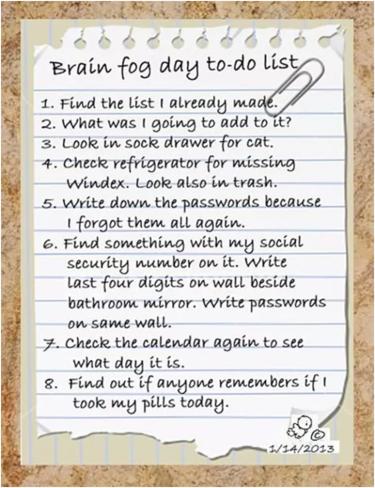 erl 2021-02-02 pix 8 Brain fog to-do list.jpg