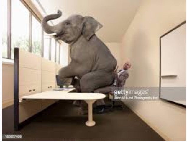 erl 2022-05-31 ElephantSittingOnManAtDesk.jpg