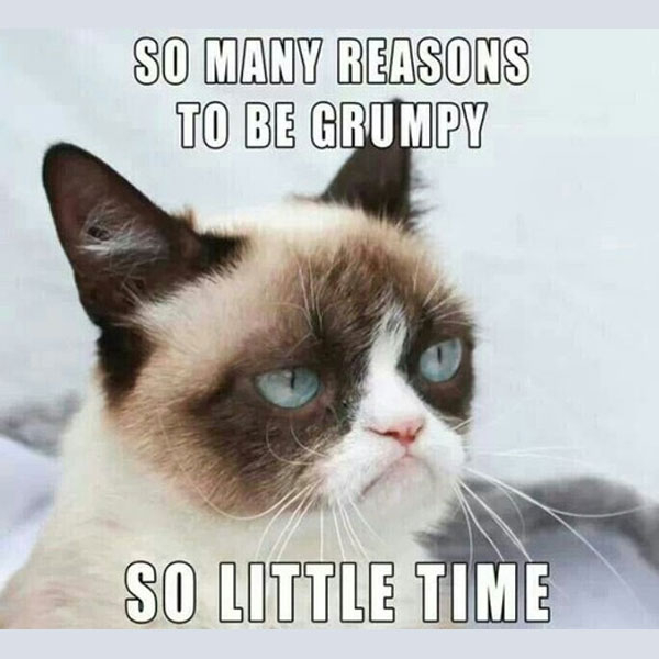 grumpy-cat-about-time.jpg