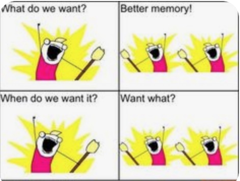 pix 8 What do we want5 Better Memory!.jpg